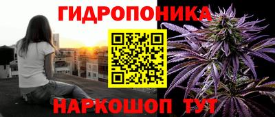 хмурый Можга