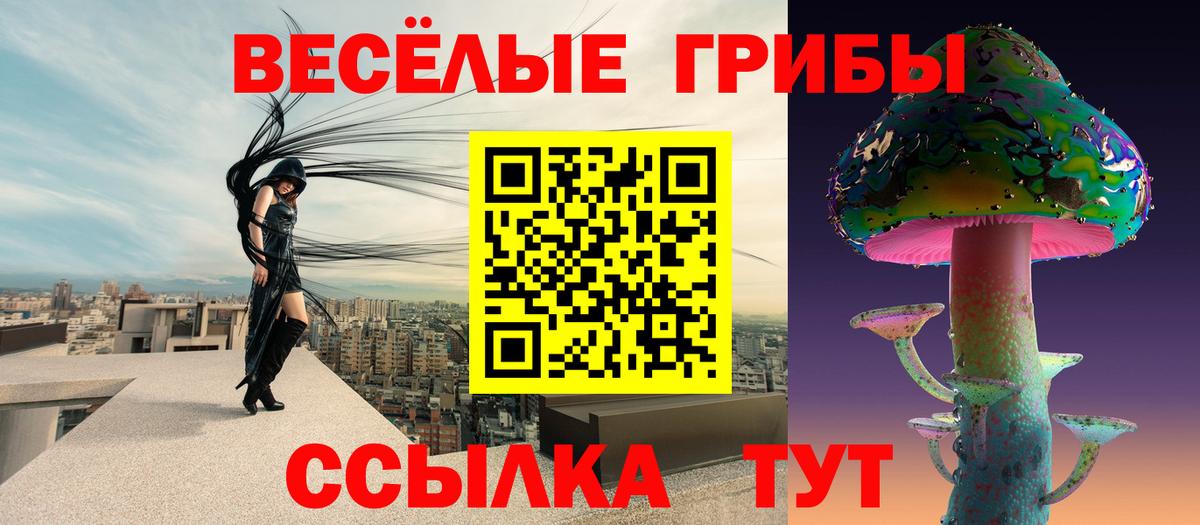 купить наркоту  Галлюциногенные грибы MAGIC MUSHROOMS  Вход с VPN  Хасавюрт 